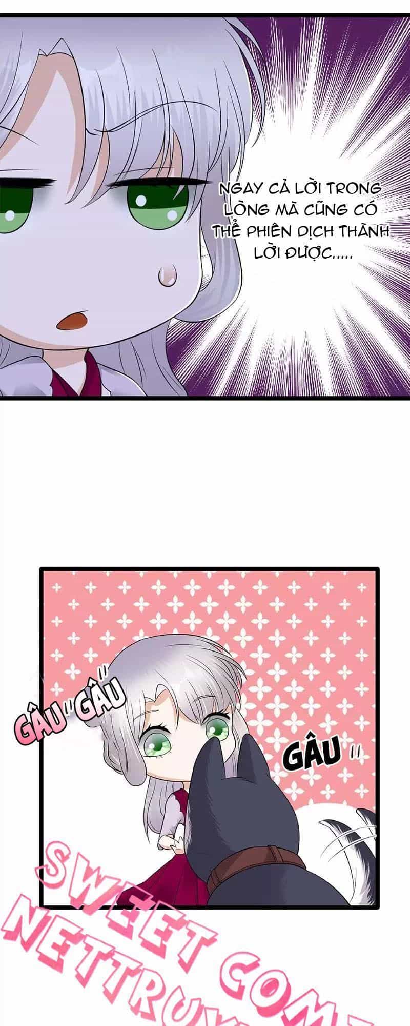 Sủng Thê Thành Nghiện: Lục Thiếu Sủng Từ Đáy Lòng - Chương 26 - ảnh 9