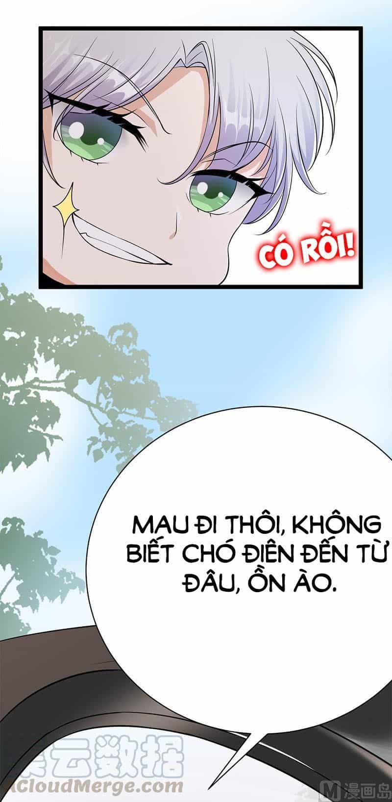 Sủng Thê Thành Nghiện: Lục Thiếu Sủng Từ Đáy Lòng - Chương 66 - ảnh 10