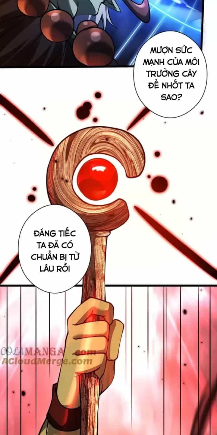 Ta, Chúa Tể Rừng Xanh - Chương 28 - ảnh 20