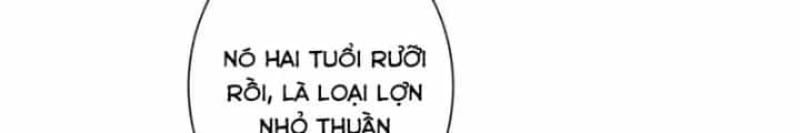 Ta Có Thể Thấy Tỉ Lệ Thành Công - Chương 229 - ảnh 104