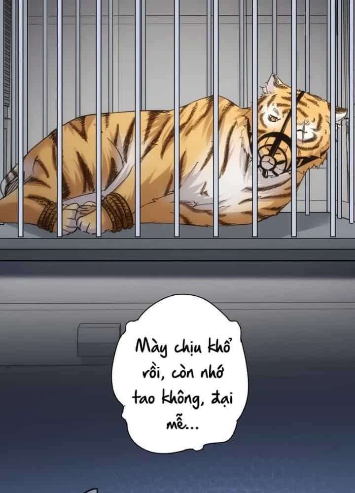 Ta Có Thể Thấy Tỉ Lệ Thành Công - Chương 251 - ảnh 109