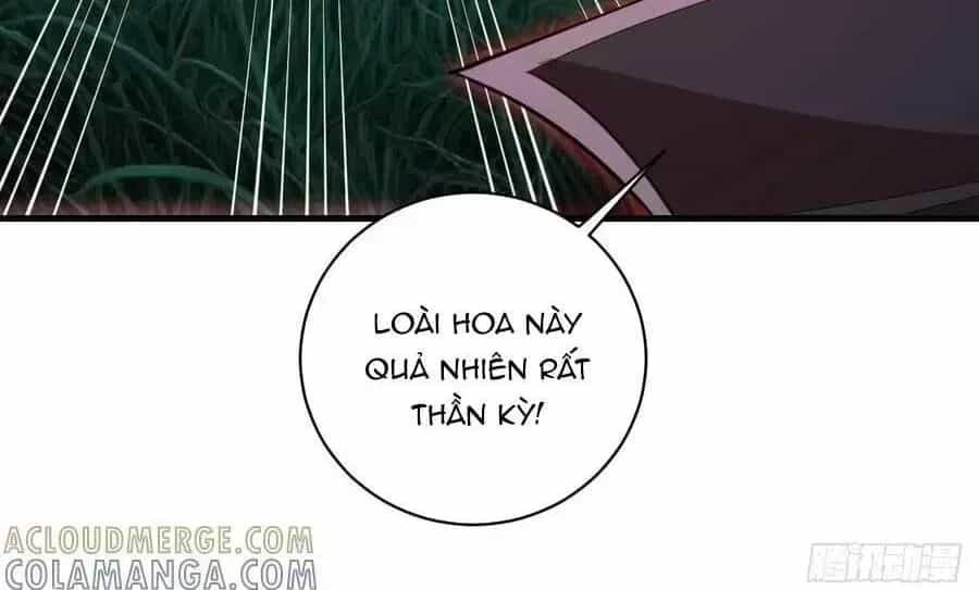 Ta Dựa Vào Hậu Cung Chinh Phục Thế Giới - Chương 69.7 - ảnh 17