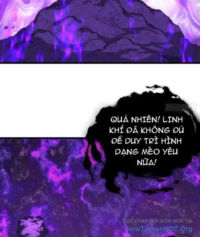 Ta Dựa Vào Tu Tiên Xưng Bá Mạt Thế - Chương 14 - ảnh 9
