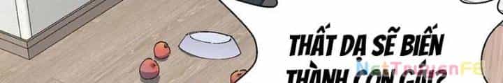 Ta Học Trảm Thần Trong Bệnh Viện Tâm Thần - Chương 132 - ảnh 79