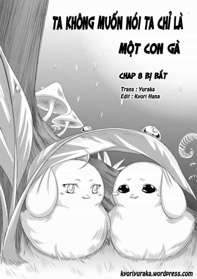 Ta Không Muốn Nói Ta Chỉ Là Một Con Gà - Chương 8 - ảnh 1