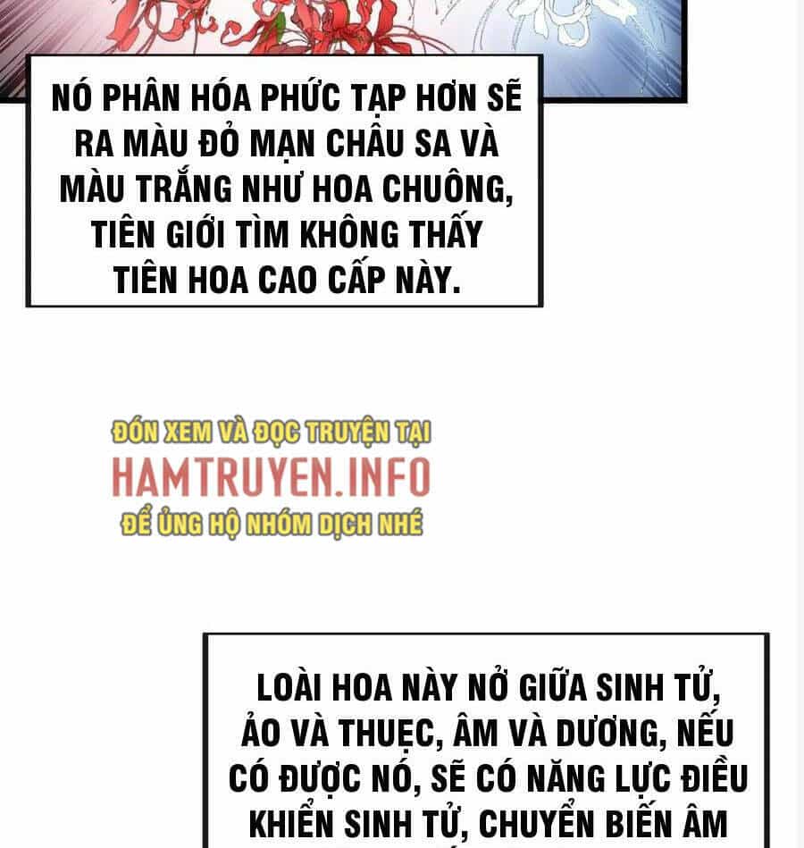 Ta Không Phải Con Cưng Của Khí Vận - Chương 222 - ảnh 24