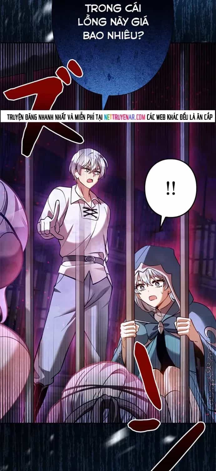 Ta Là Anh Hùng Nhưng Các Nữ Chính Lại Muốn Giết Ta - Chương 48 - ảnh 47