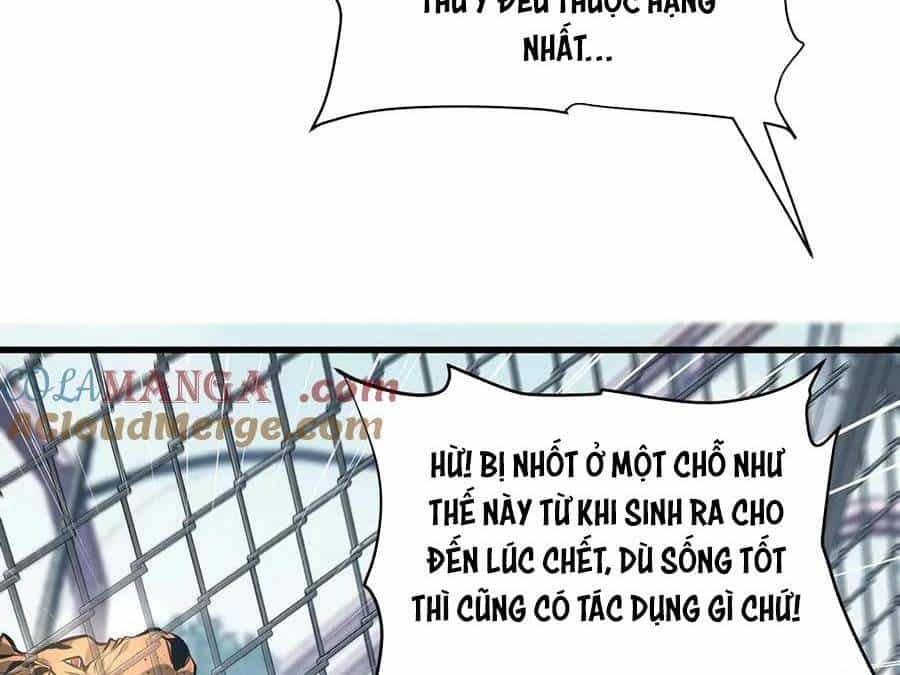 Ta Là Boss Mạnh - Chương 26 - ảnh 17