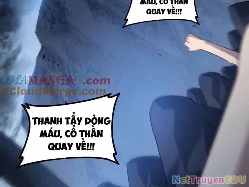 Ta Là Chúa Tể Trùng Độc - Chương 48 - ảnh 93