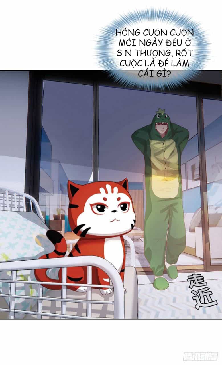 Ta Là Mao Sơn Thiên Sư - Chương 2 - ảnh 26