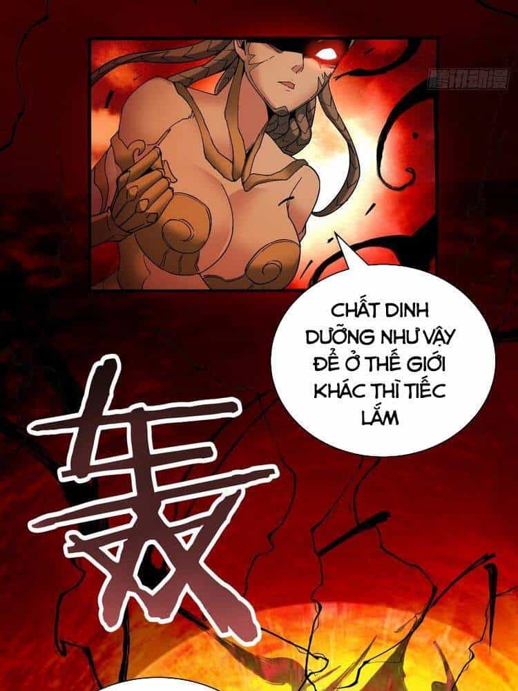 Ta Là Nhà Giàu Số Một, Ta Không Muốn Trọng Sinh - Chương 61 - ảnh 2