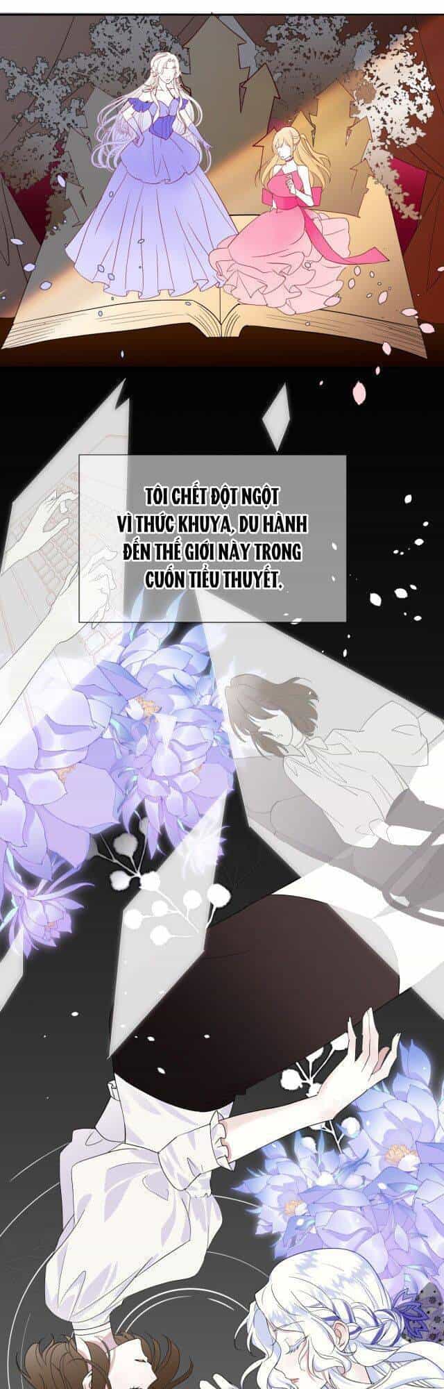 Ta Là Nữ Phụ Độc Ác - Chương 0 - ảnh 6