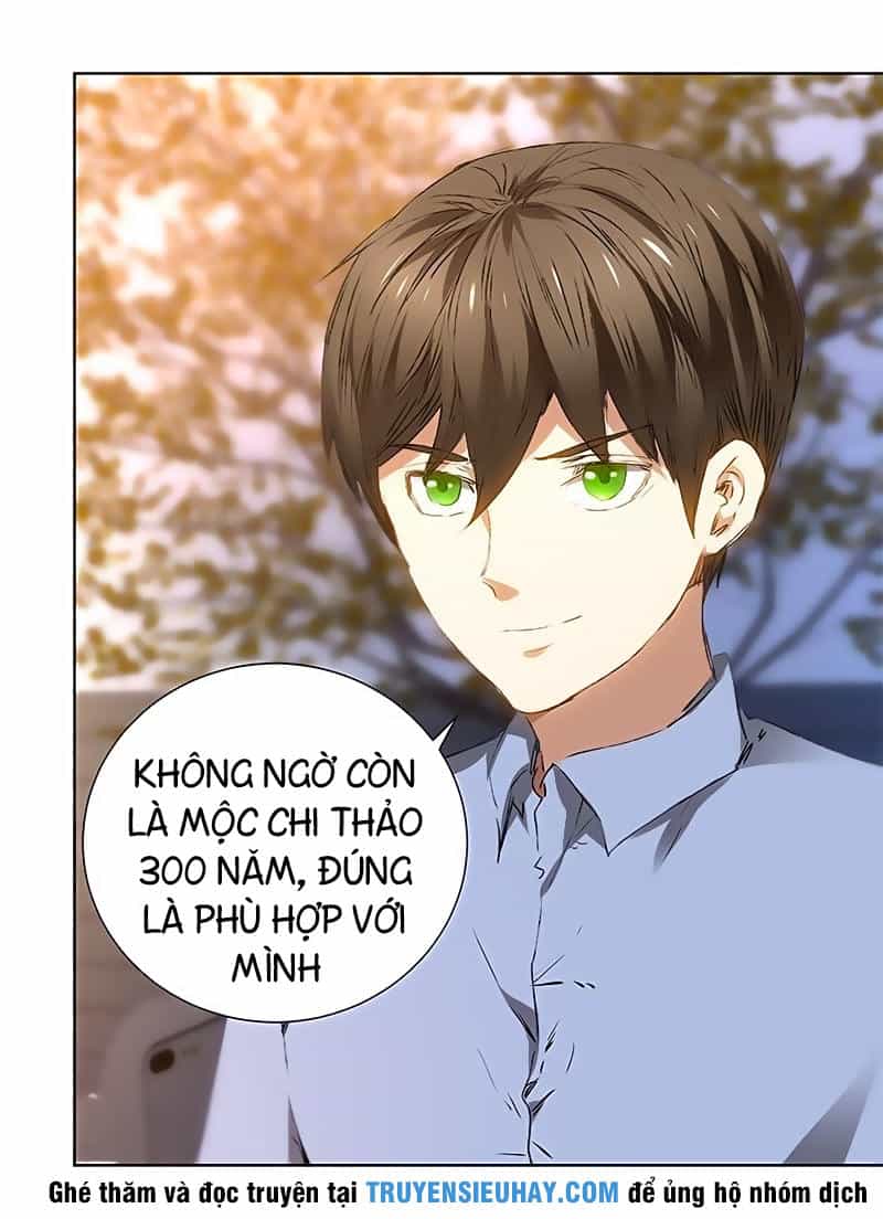 Ta Là Phế Vật - Chương 19 - ảnh 31