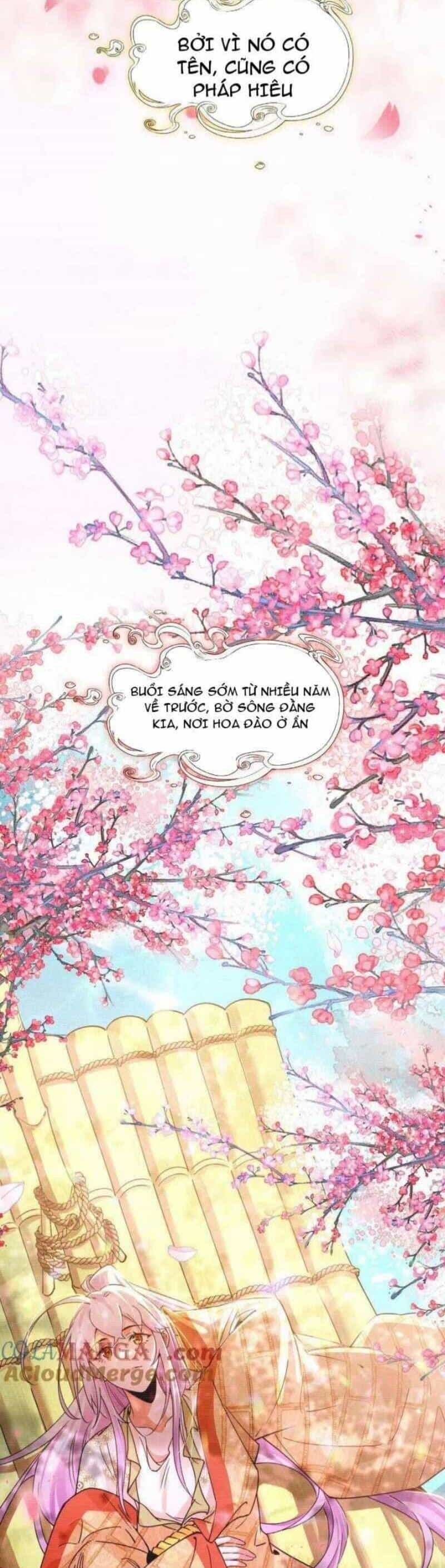 Ta Là Tà Đế - Chương 489 - ảnh 33