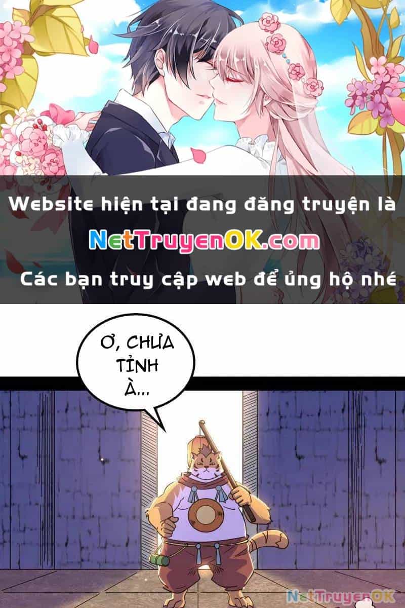 Ta Là Tà Đế - Chương 528 - ảnh 2