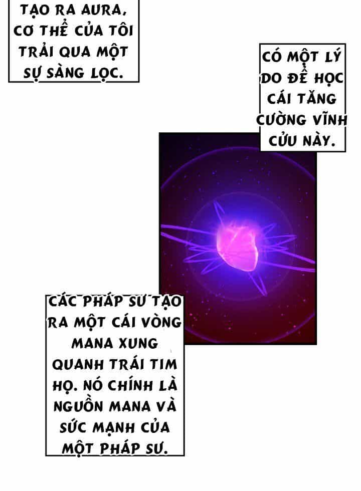 Ta Là Vua Pháp Sư - Chương 33 - ảnh 13