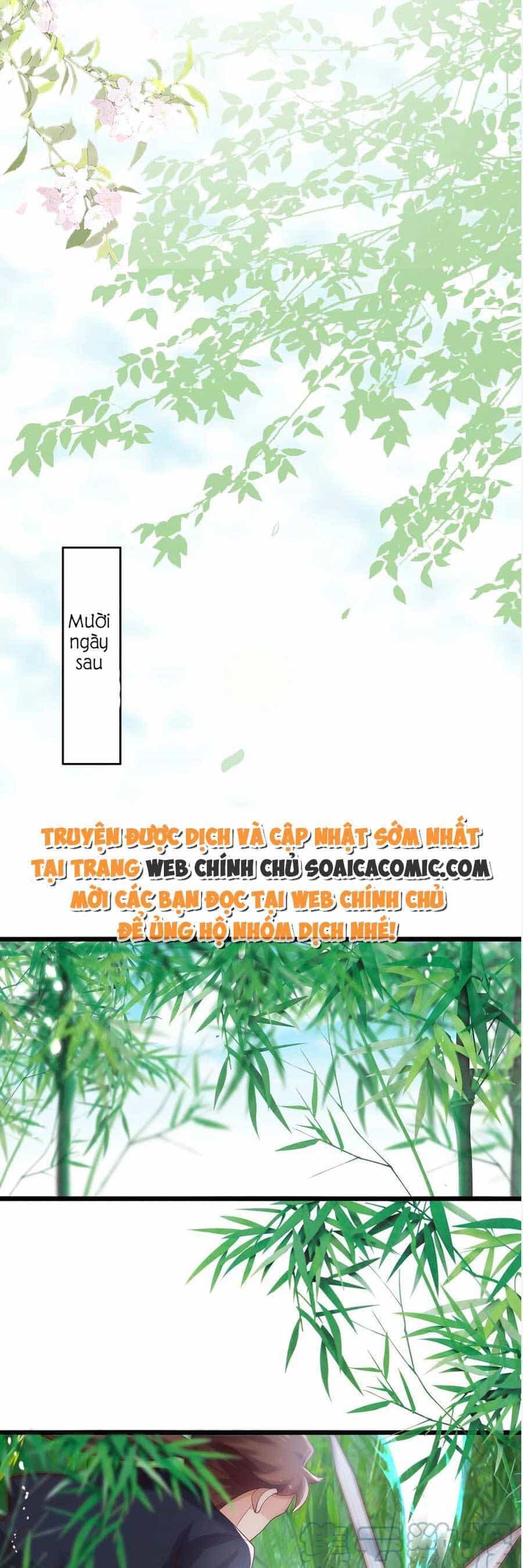Ta Live Stream Ngược Đãi Nam Chính - Chương 19 - ảnh 11
