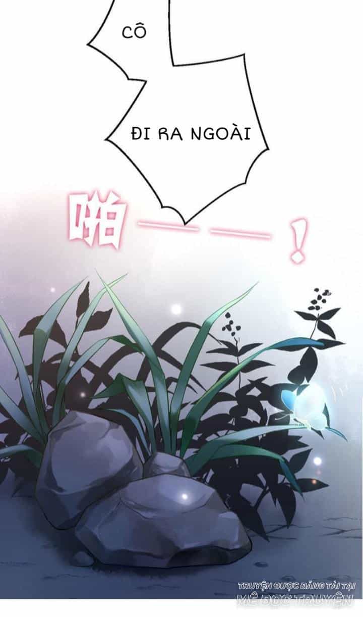 Ta Nấu - Chàng Giết - Chương 6 - ảnh 21