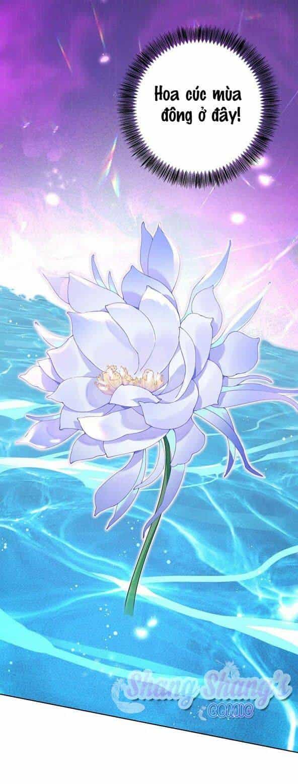 Ta Ở Dị Giới Nuôi Dưỡng Nam Thần: Thần Y Cửu Tiểu Thư - Chương 203 - ảnh 14