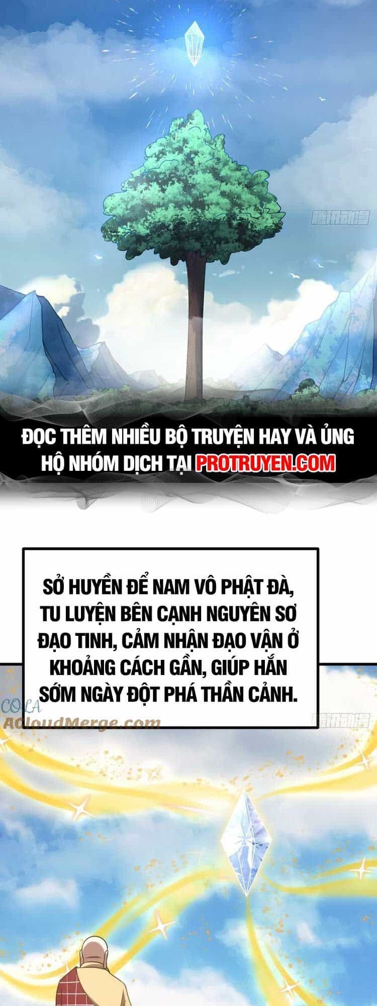 Ta Ở Nhà 100 Năm Khi Ra Ngoài Đã Vô Địch - Chương 121 - ảnh 14