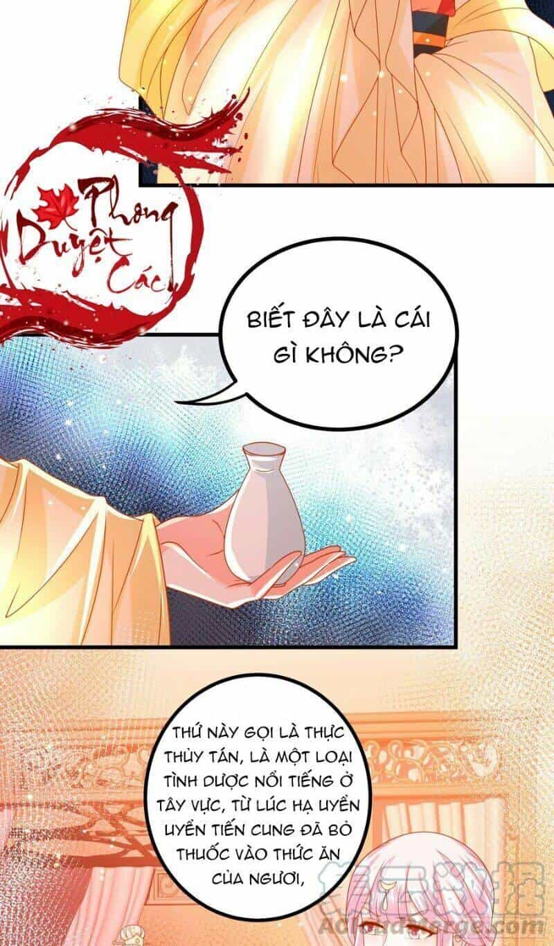 Ta Phải Làm Hoàng Hậu - Chương 32 - ảnh 16