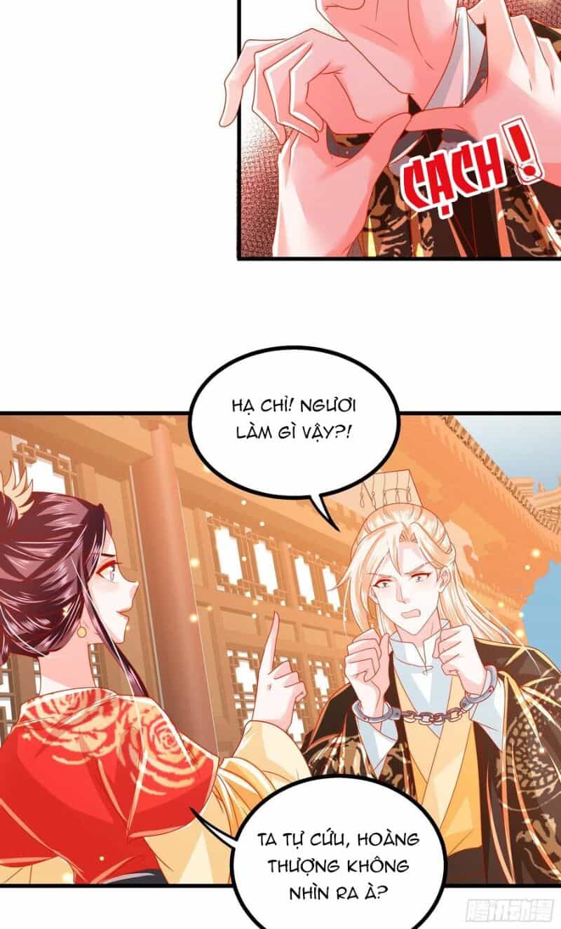 Ta Phải Làm Hoàng Hậu - Chương 33 - ảnh 31