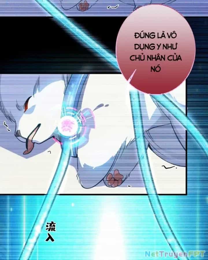 Ta! Phản Phái Thiên Mệnh Lại Thành Chính Đạo Lão Tổ - Chương 44 - ảnh 38