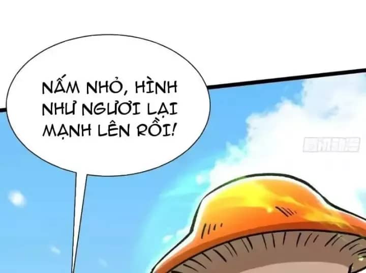 Ta Thật Không Muốn Học Cấm Chú - Chương 176 - ảnh 142