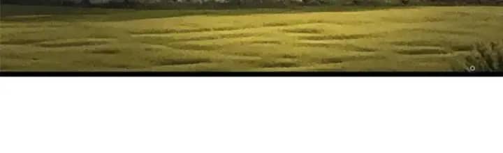 Ta Thật Không Muốn Học Cấm Chú - Chương 38 - ảnh 2