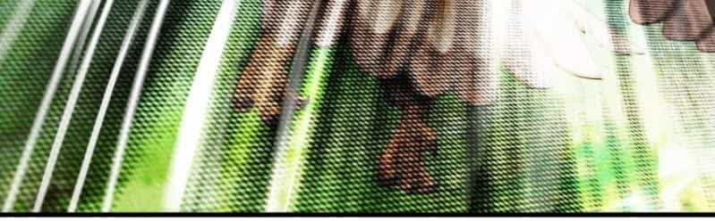 Ta Tu Linh Mạch Ở Hoa Hạ - Chương 9 - ảnh 4
