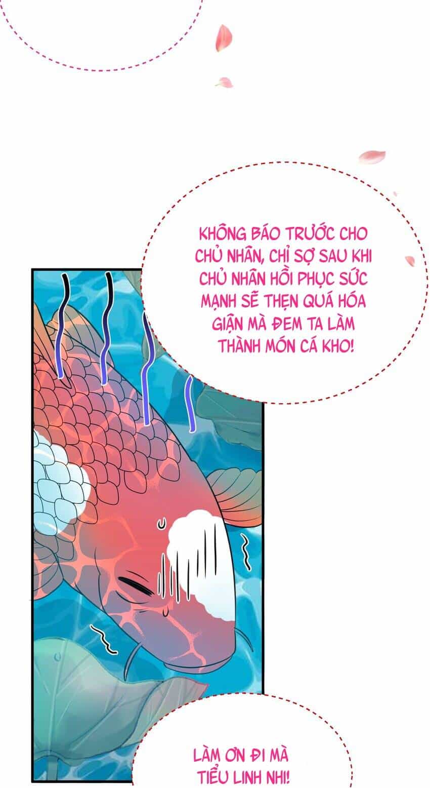 Ta Vô Địch Lúc Nào - Chương 126 - ảnh 21