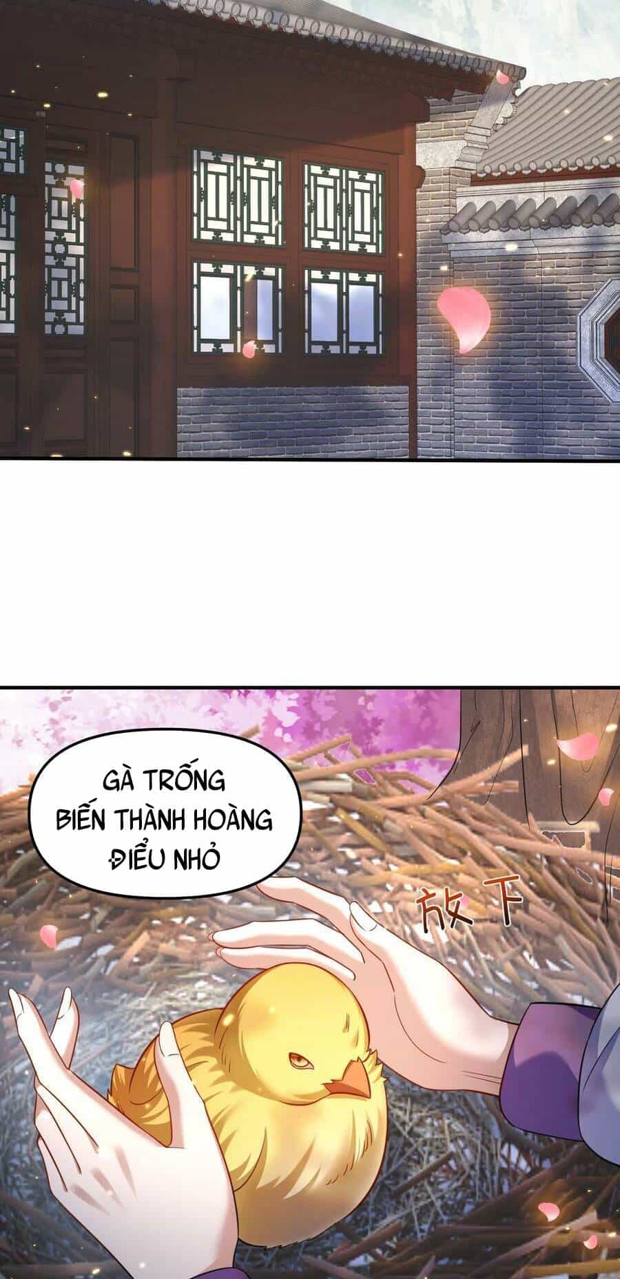 Ta Vô Địch Lúc Nào - Chương 152 - ảnh 33