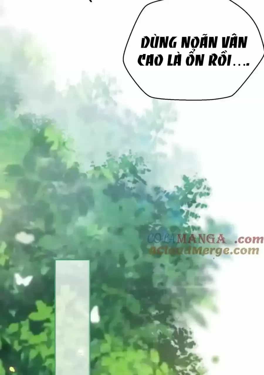 Ta Vô Địch Lúc Nào - Chương 239 - ảnh 31