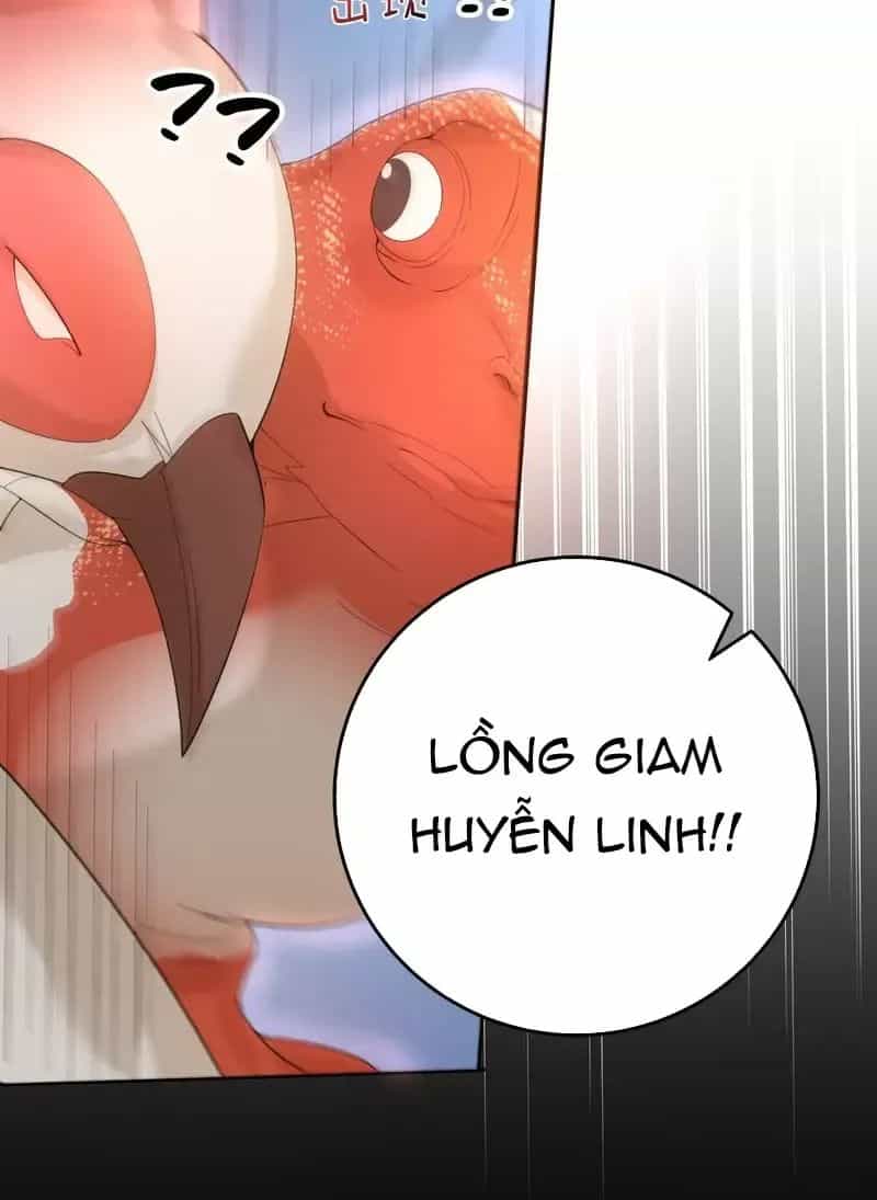 Ta Vô Địch Lúc Nào - Chương 249 - ảnh 40
