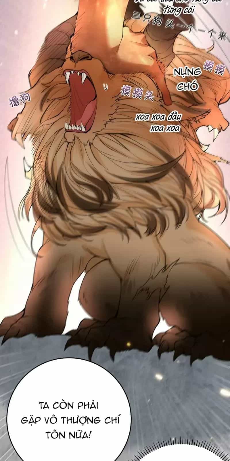 Ta Vô Địch Lúc Nào - Chương 251 - ảnh 15