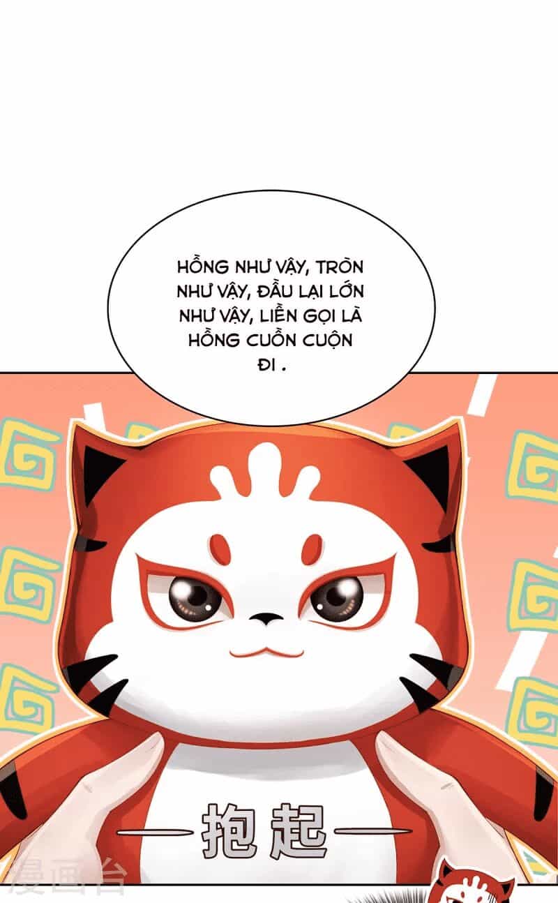 Ta Vốn Là Mèo - Chương 2 - ảnh 16