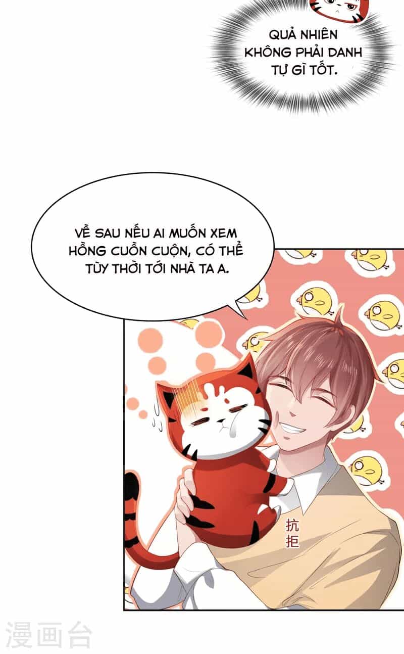 Ta Vốn Là Mèo - Chương 2 - ảnh 17