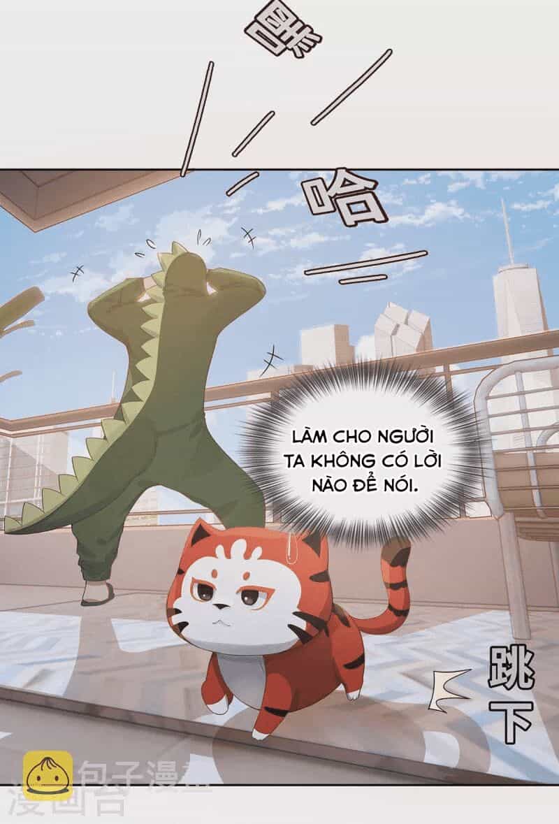 Ta Vốn Là Mèo - Chương 2 - ảnh 32