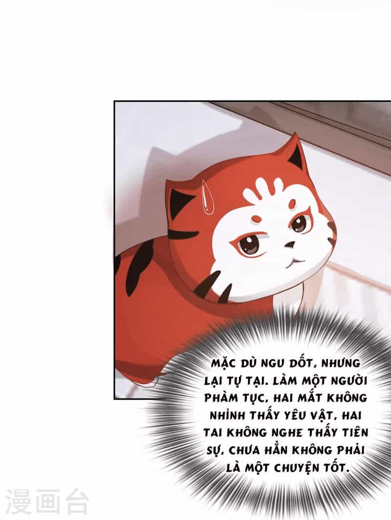 Ta Vốn Là Mèo - Chương 2 - ảnh 33