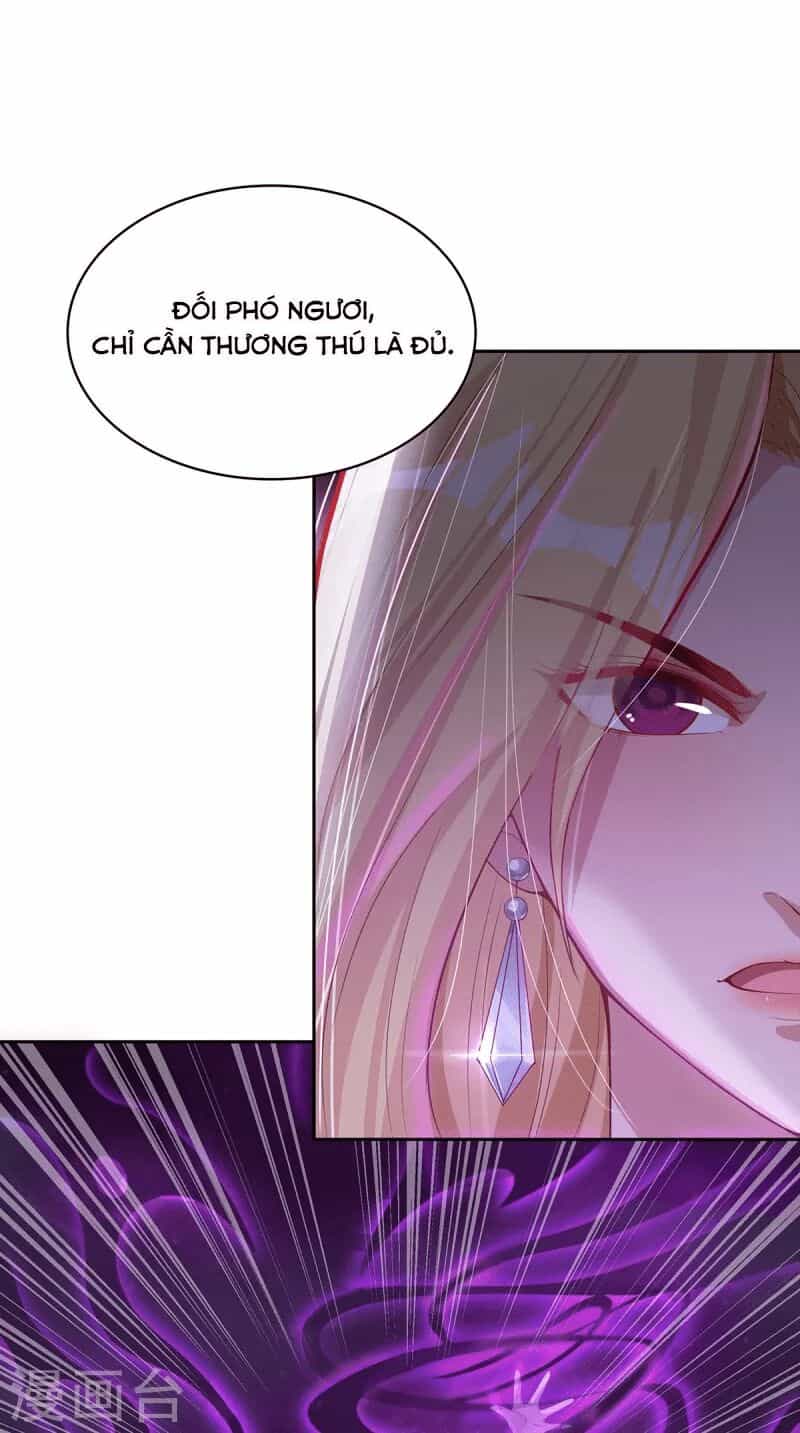 Ta Vốn Là Mèo - Chương 3 - ảnh 13