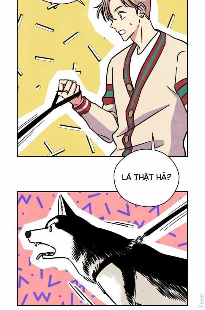 Tai Sói Và Mũ Đỏ - Chương 28 - ảnh 38