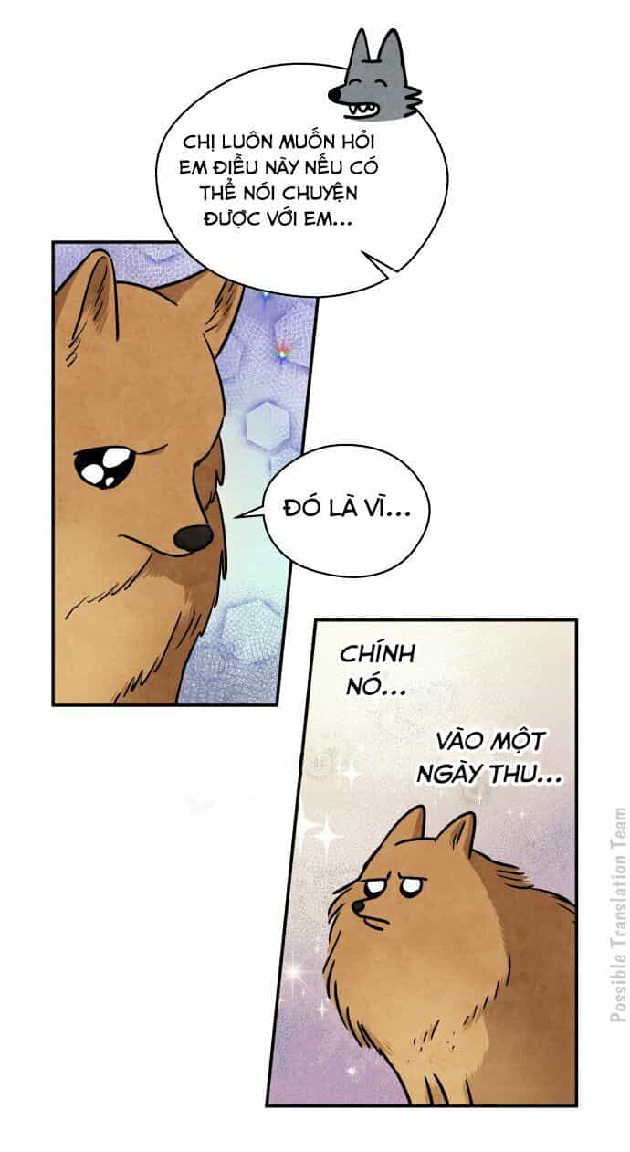 Tai Sói Và Mũ Đỏ - Chương 31 - ảnh 24