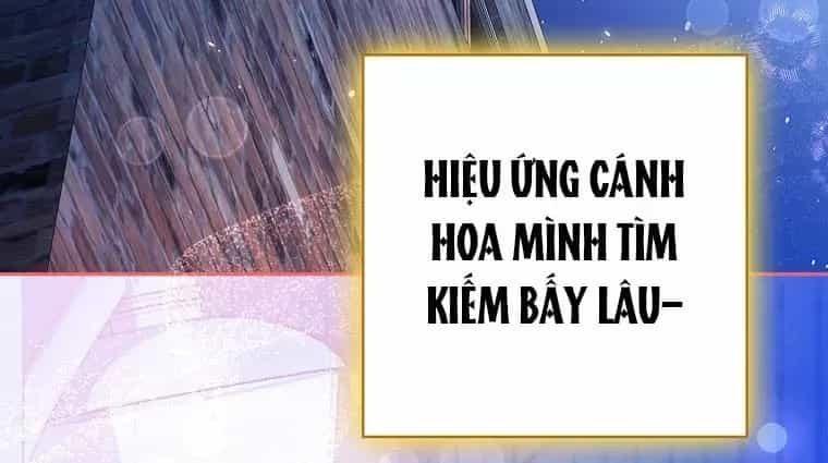 Tân Binh Triệu Đô - Chương 75 - ảnh 150