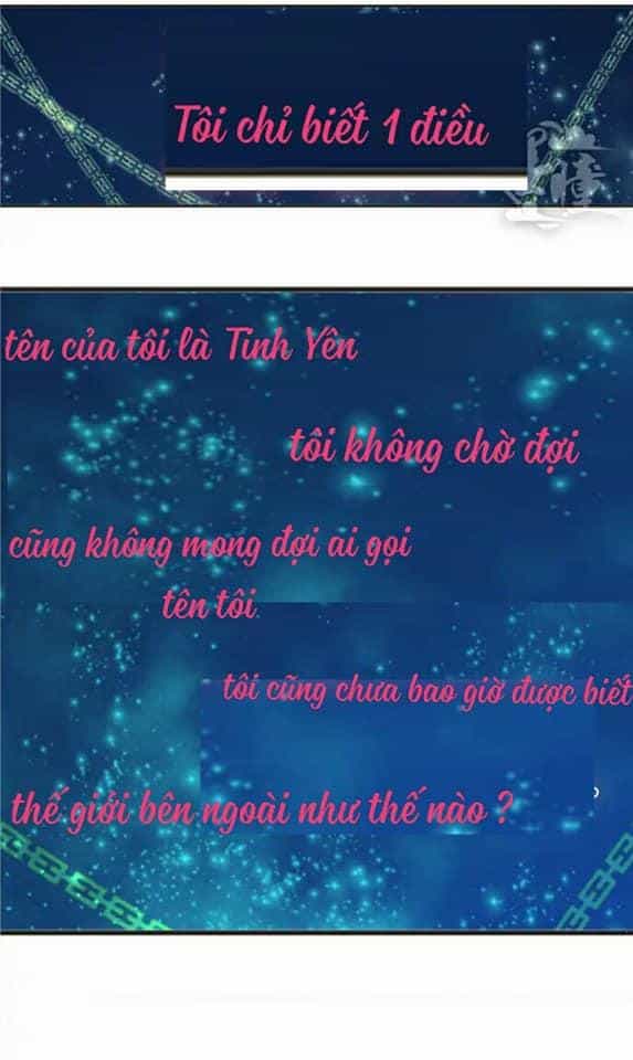 Tân Quang Thiên - Chương 11 - ảnh 2
