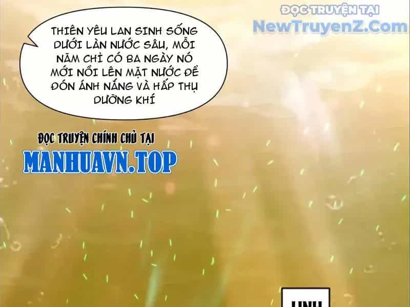 Tân Sủng Mị - Chương 74 - ảnh 61