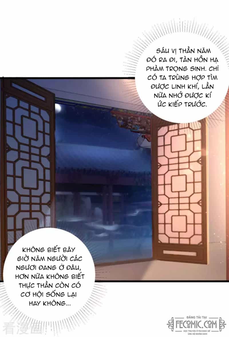 Tất Thắng Chí Tôn - Chương 19 - ảnh 33