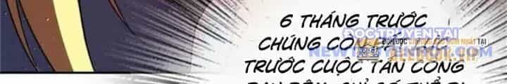 Thả Vu Nữ Đó Ra - Chương 679 - ảnh 41