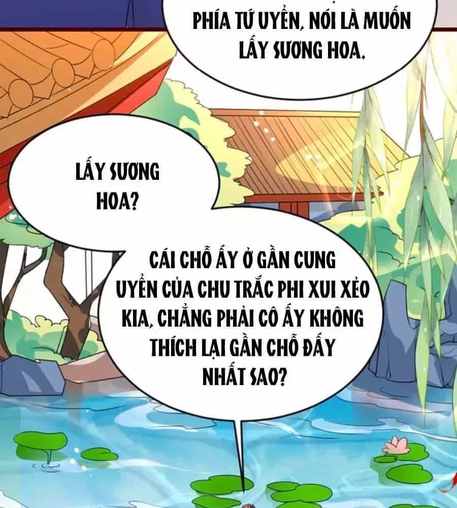 Thái Tử Điện Hạ, Nô Tài Có Hỉ Rồi - Chương 17 - ảnh 7