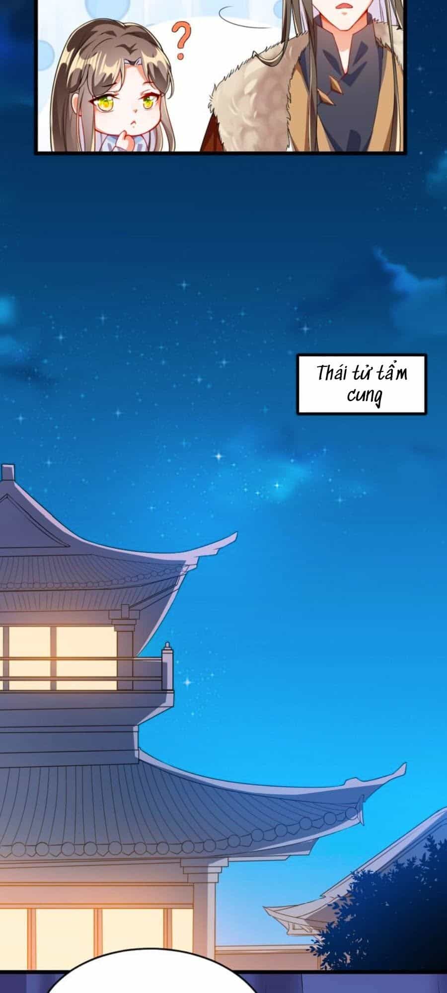 Thái Tử Điện Hạ, Nô Tài Có Hỉ Rồi - Chương 39 - ảnh 16