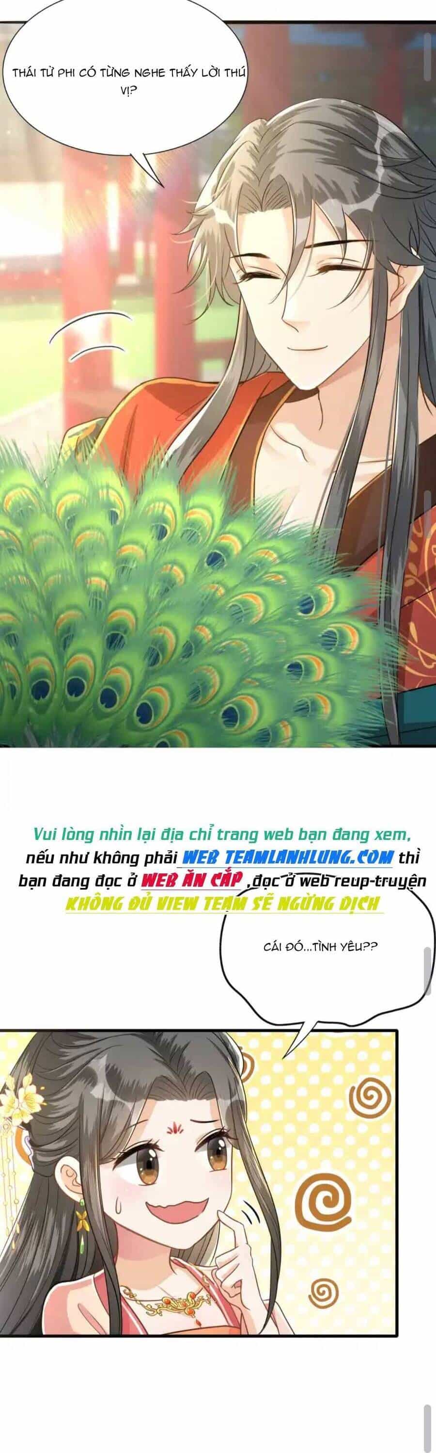 Thái Tử Phi Thế Thân - Chương 1 - ảnh 20
